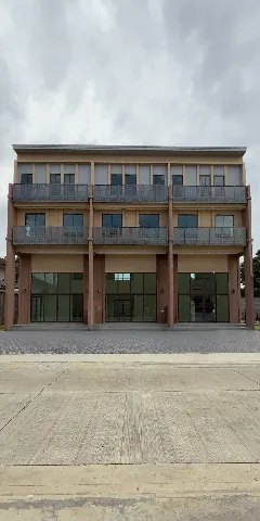 โกลเด้น