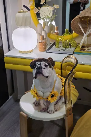 cozi รามอินทรา's gallery image at 59