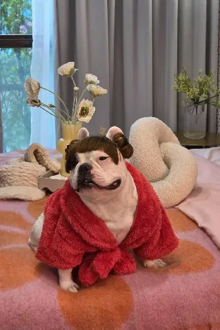 cozi รามอินทรา's gallery image at 61