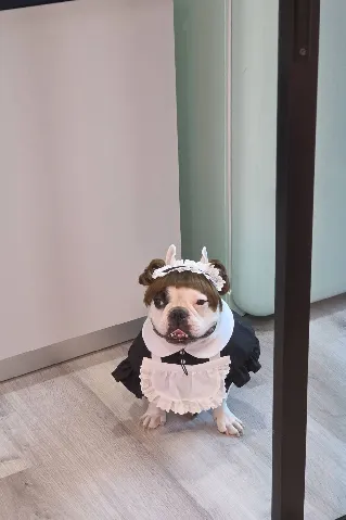 cozi รามอินทรา's gallery image at 63