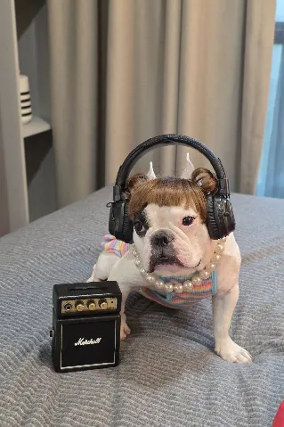 cozi รามอินทรา's gallery image at 64