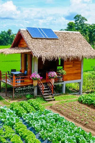 แกลลอรี่ของ บ้านสำหรับคนเดียว รูปที่ 1