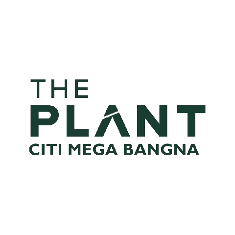 แต่งบ้าน 的画廊图 219