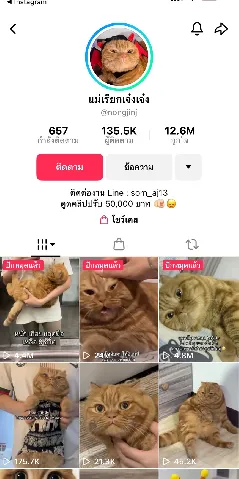 แต่งบ้าน 的画廊图 298