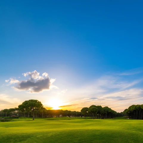 บ้าน's gallery image at 1