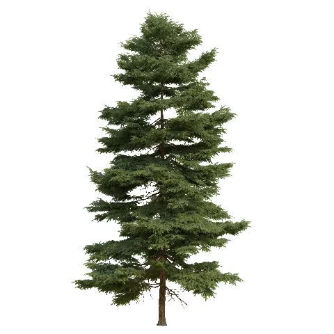 บ้านดี's gallery image at 68