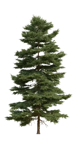 บ้านดี's gallery image at 67