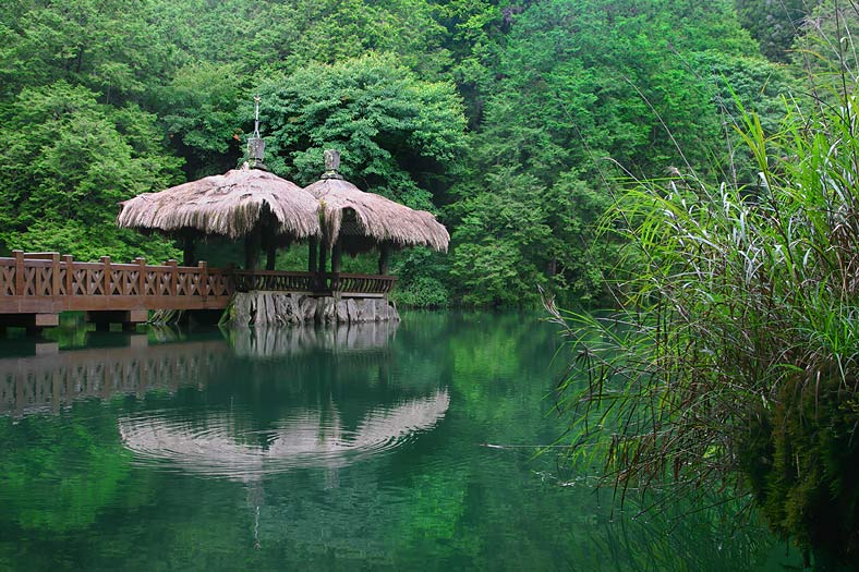 5D4N Taipei + Alishan + Sun Moon Lake 2026