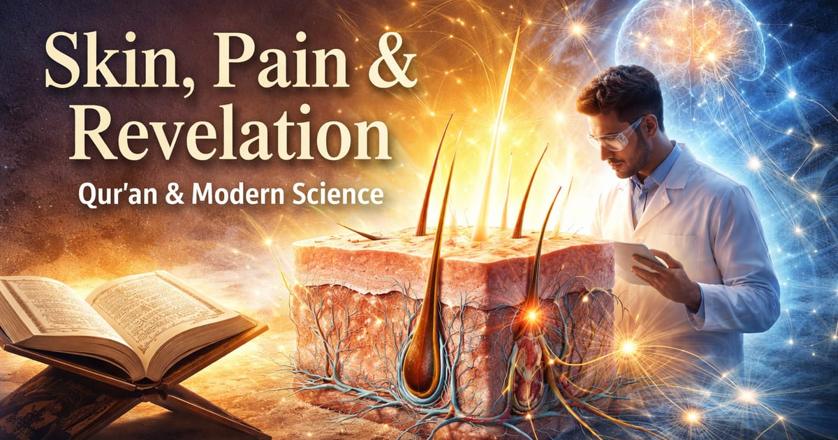 🔬 Skin, Pain & Revelation  A Reflection on Qur’an 4:56 and Modern Neuroscience