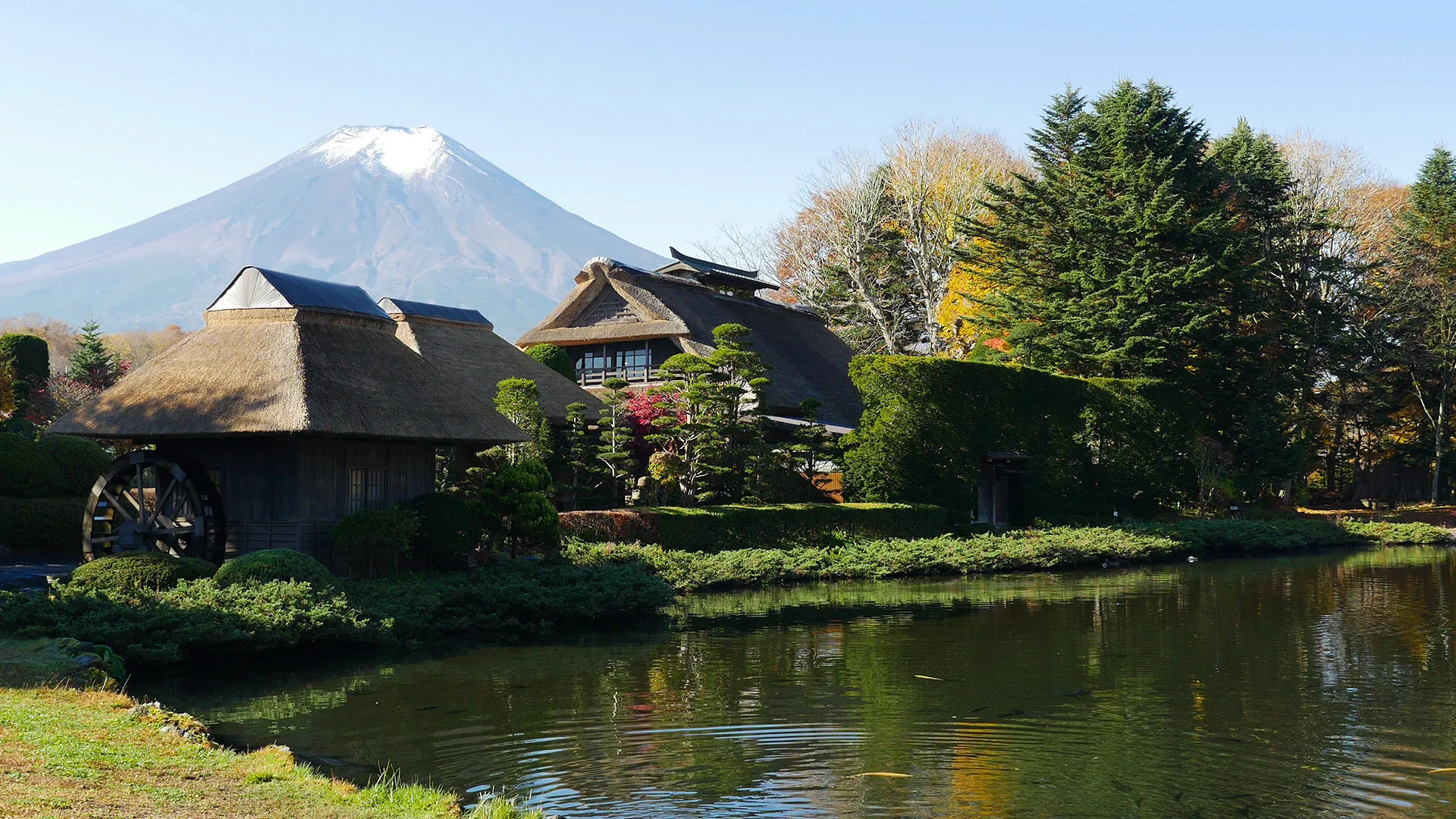 6D4N Tokyo + MT Fuji 2026