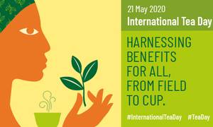 Do You Know Today, May 21, is International Tea Day?