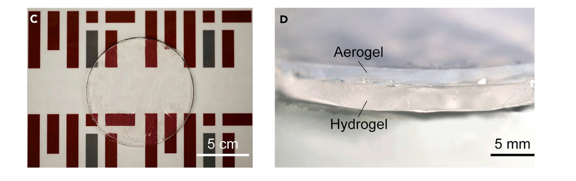 Top view and cross-section view of a hydrogel-aerogel bilayer.