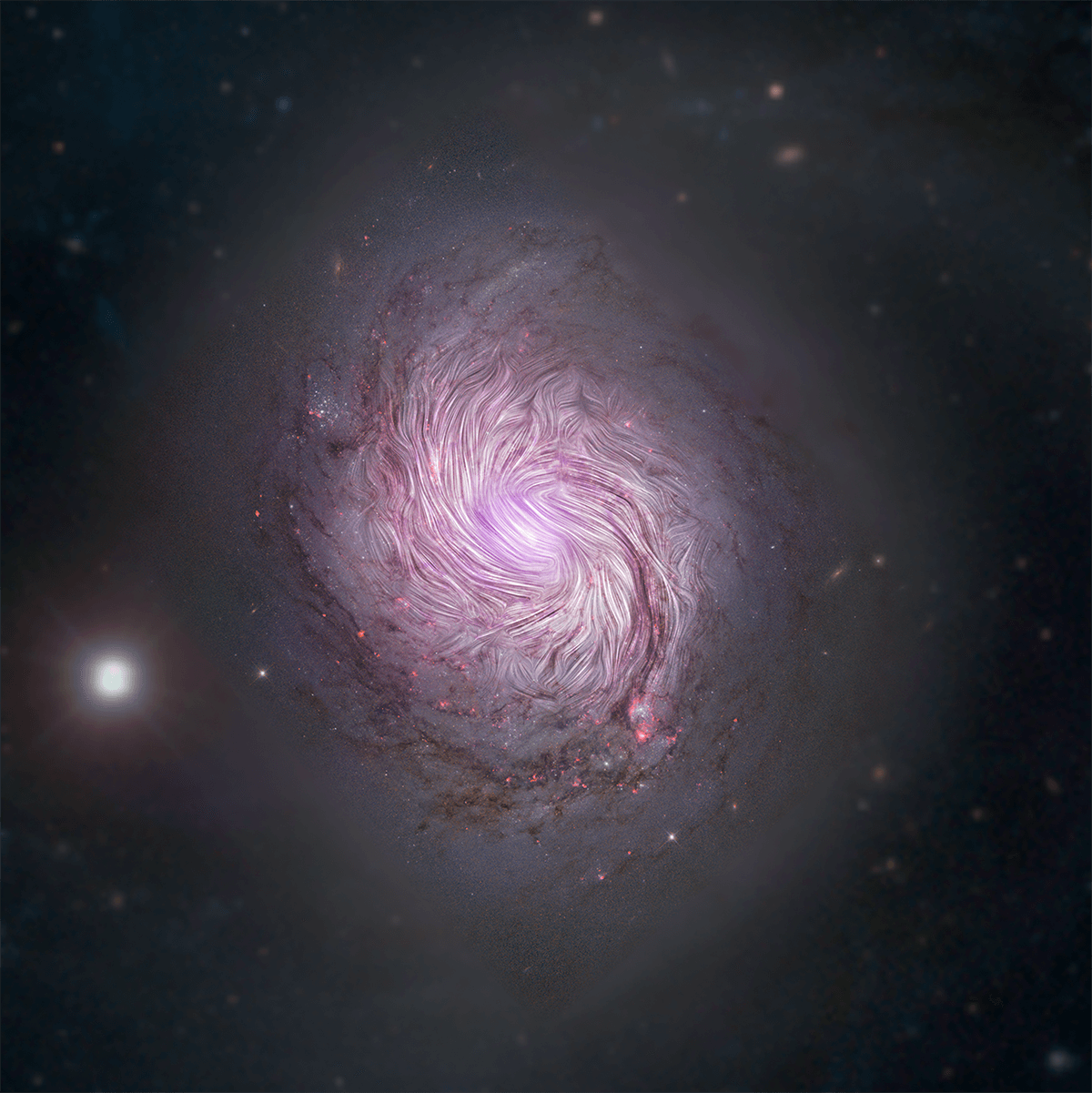 Magnetic fields in NGC 1086, or M77.