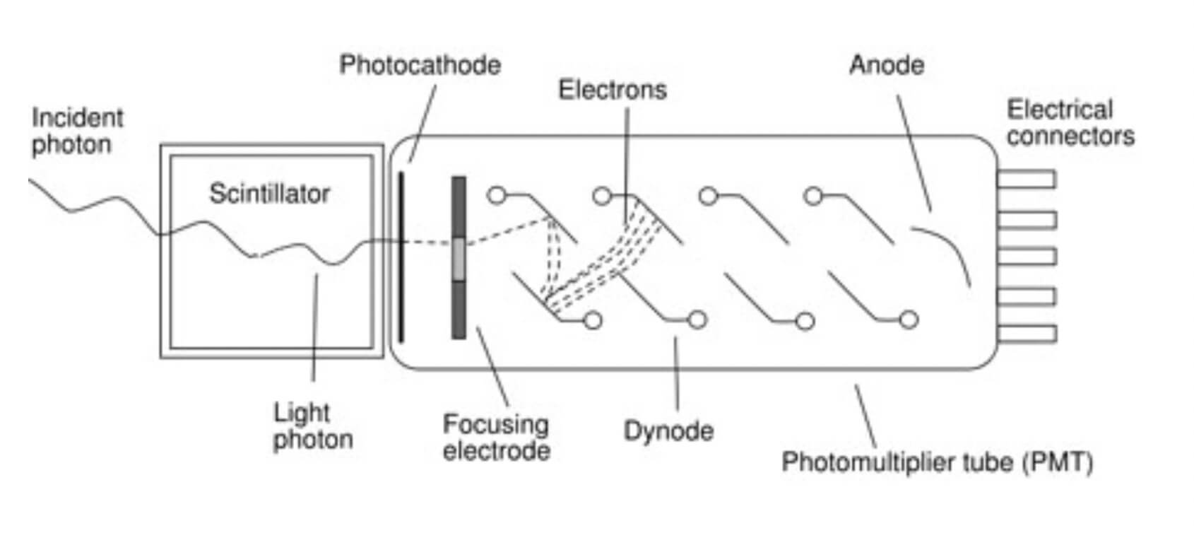 Schematic diagram of a scintillation detector comprising a scintillation material coupled to a photomultiplier tube.