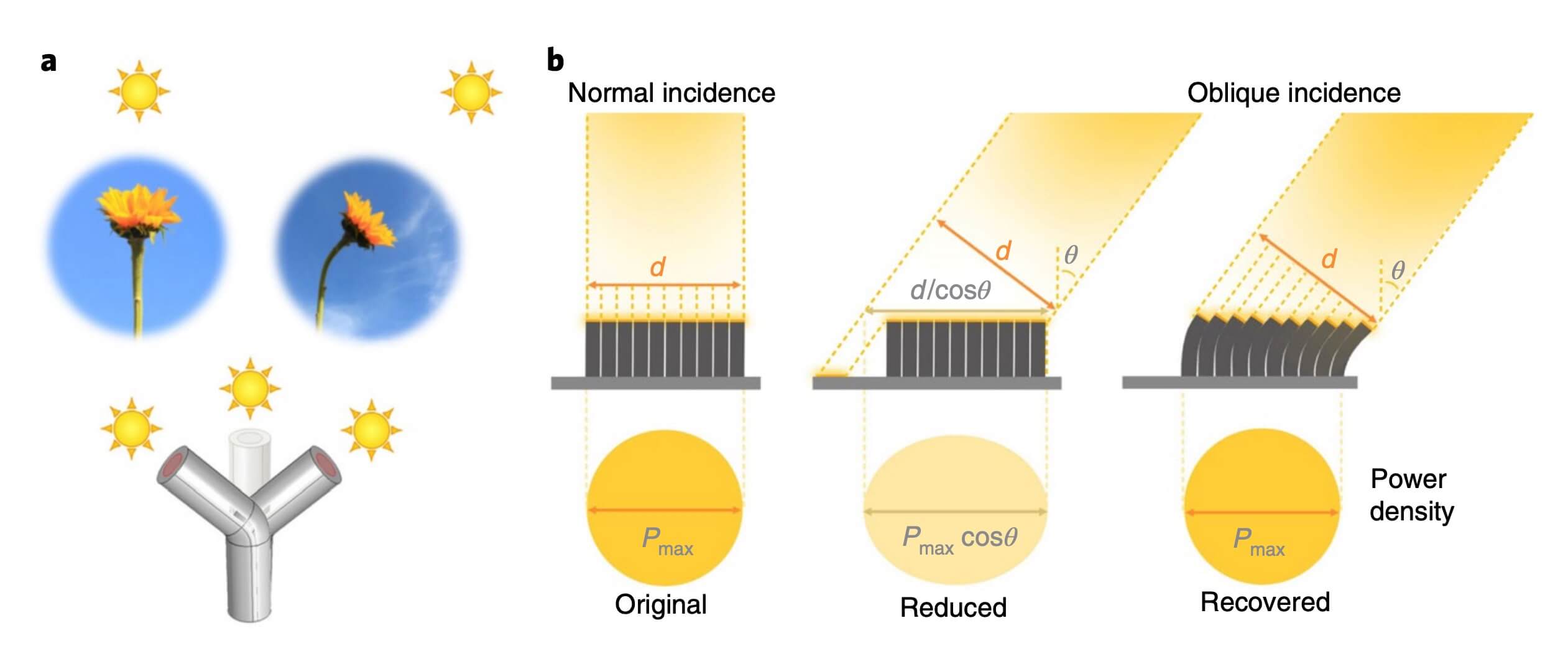 The concept of artificial phototropism and SunBOTs.