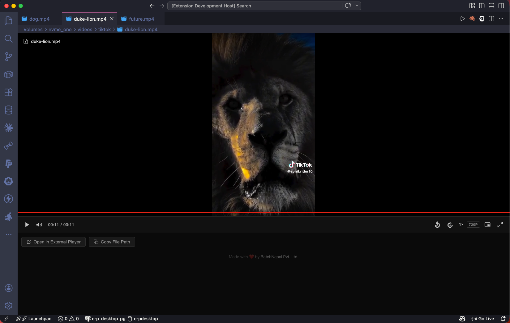 BNPL Video Player Demo 1