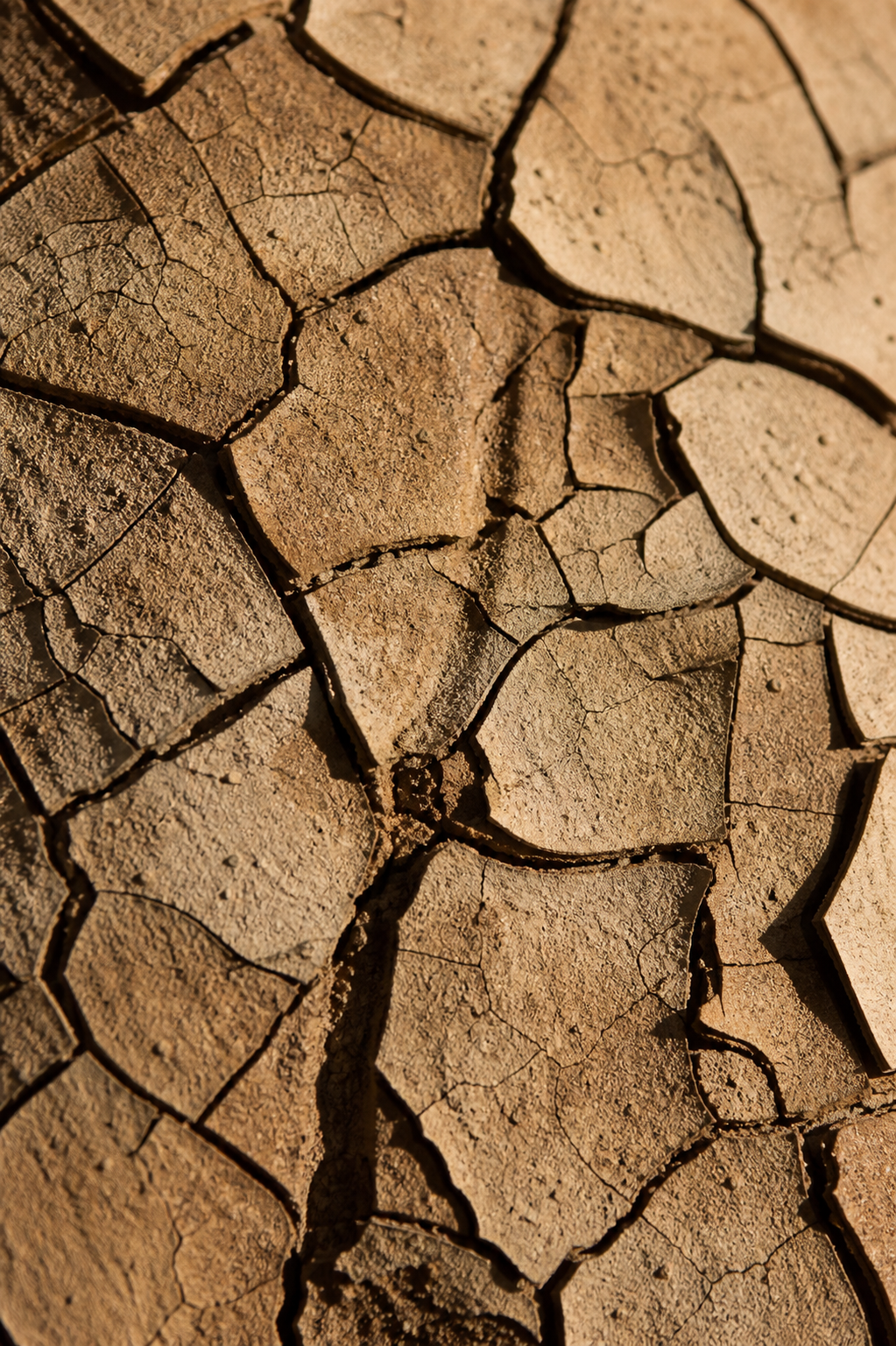 macro photograph of cracked dried earth, warm earth tones, abstract texture, fine art