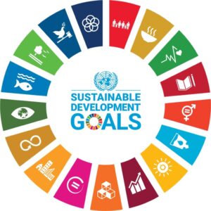 17 important sustainable development goals of united nations development programme