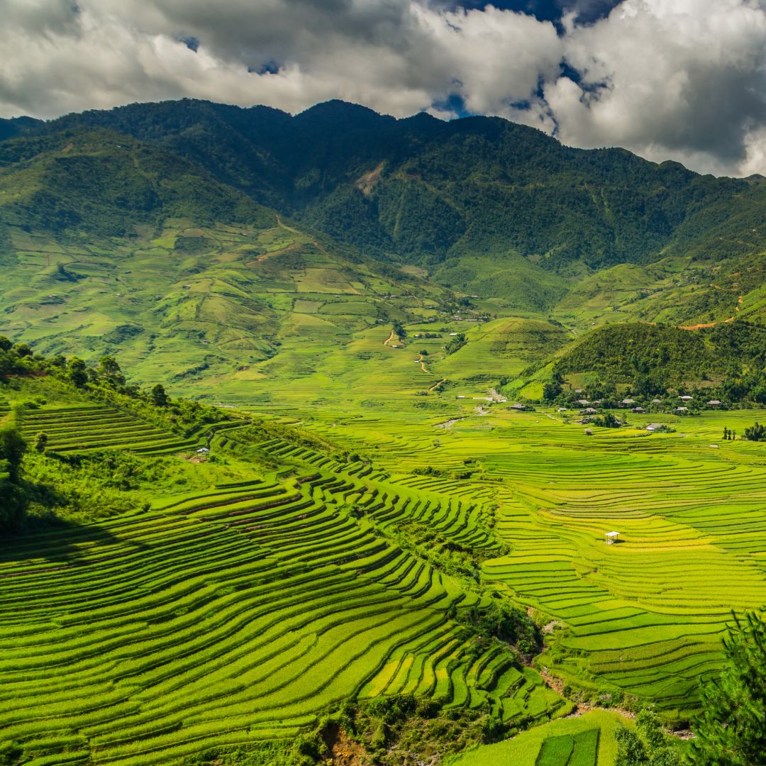 Thủ tục xin khai thác đất đồi tại Việt Nam năm 2023