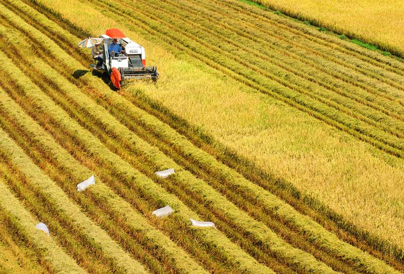 Quy trình thu hồi đất nông nghiệp để giao cho doanh nghiệp