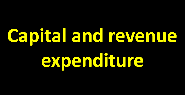 Capital and revenue expenditure
