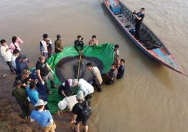 Ikan air tawar terbesar ditemukan di Sungai Mekong, Kamboja. [Sumber Gambar]