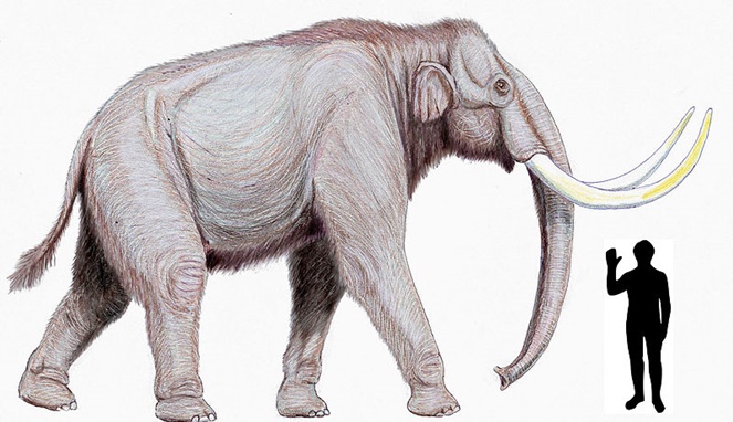 Ilustrasi gajah purba, steppe mammoth. [Sumber Gambar]