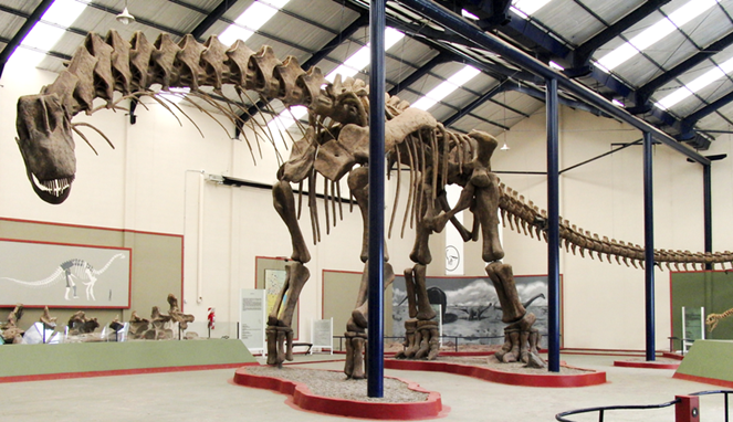 Ilustrasi kerangkan dinosaurus terbesar argentinosaurus. [Sumber Gambar]