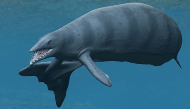 Ilustrasi paus purba basilosaurus. [Sumber Gambar]