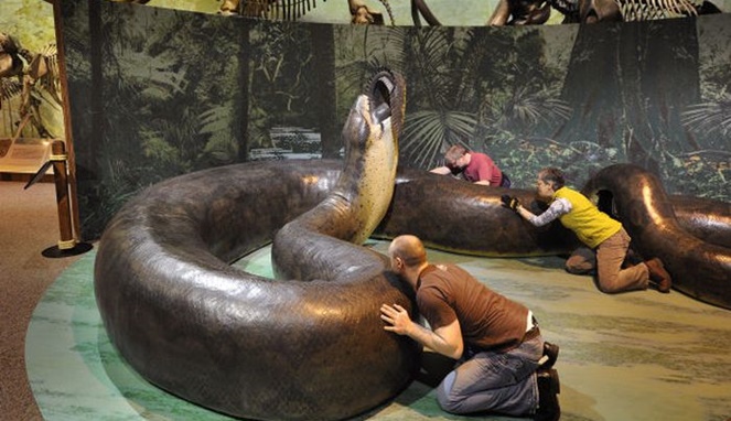 Ilustrasi ular raksasa titanoboa. [Sumber Gambar]
