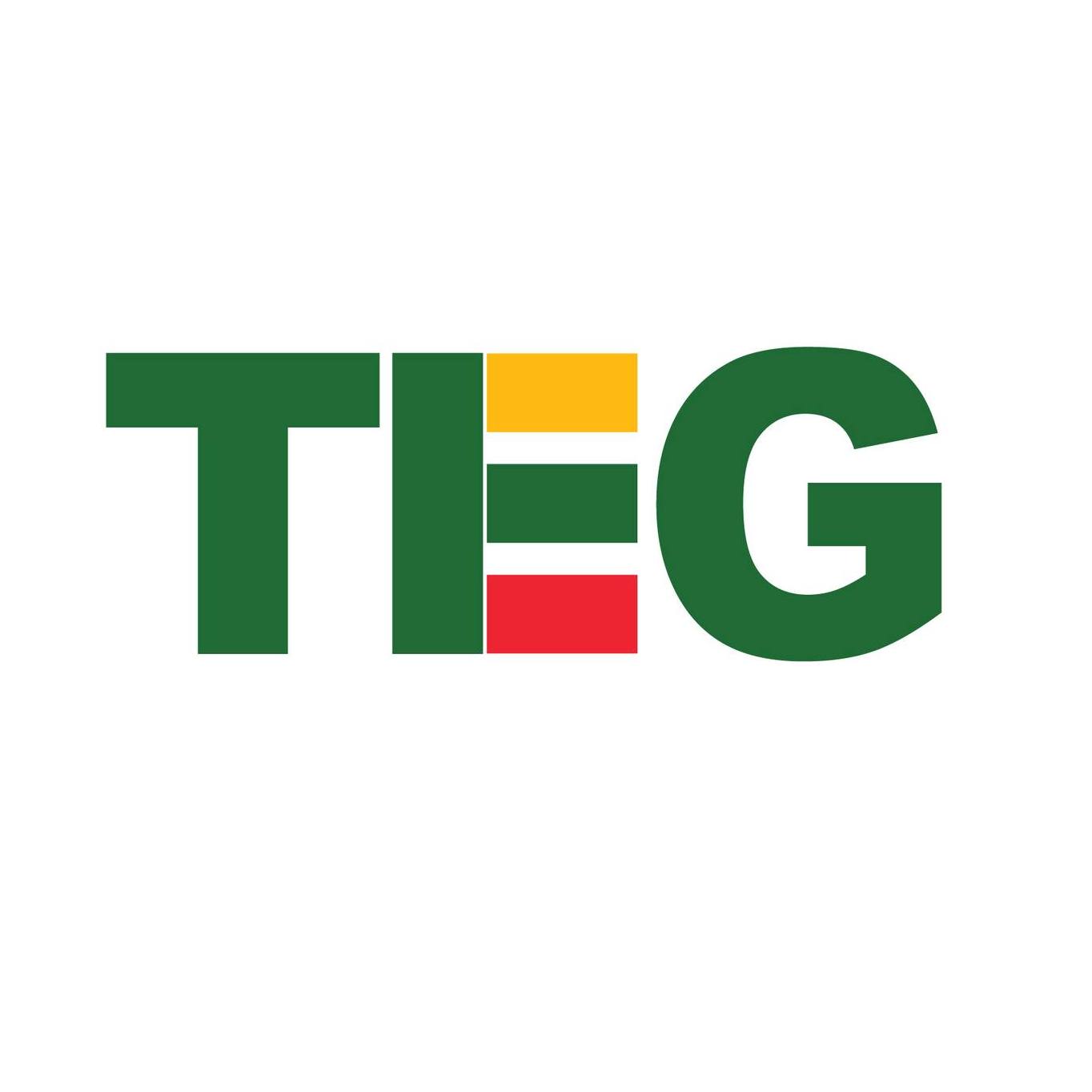 TEG Holdings