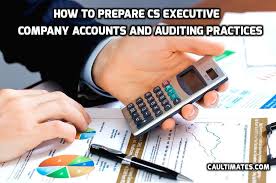 CS Executive Auditing Practices paper 5B by CA Raj K Agrawal