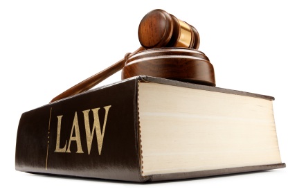 Case laws ICAI Includes Case Laws of RTP Nov 2015 Exam