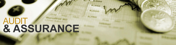 CA Intermediate | CA IPCC Paper 6 Auditing And Assurance CA Anuradha Agrawal
