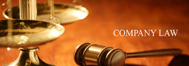CS EXECUTIVE PAPER 1 COMPANY LAW BY Prof Amit Karia