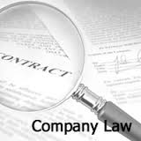 CA Intermediate | CA IPCC Company Law by Padma Jain