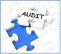 CS Executive Auditing by CA Padma Jain