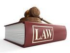 CA INTER Paper 2 - Corporate Law and Other Law by P..