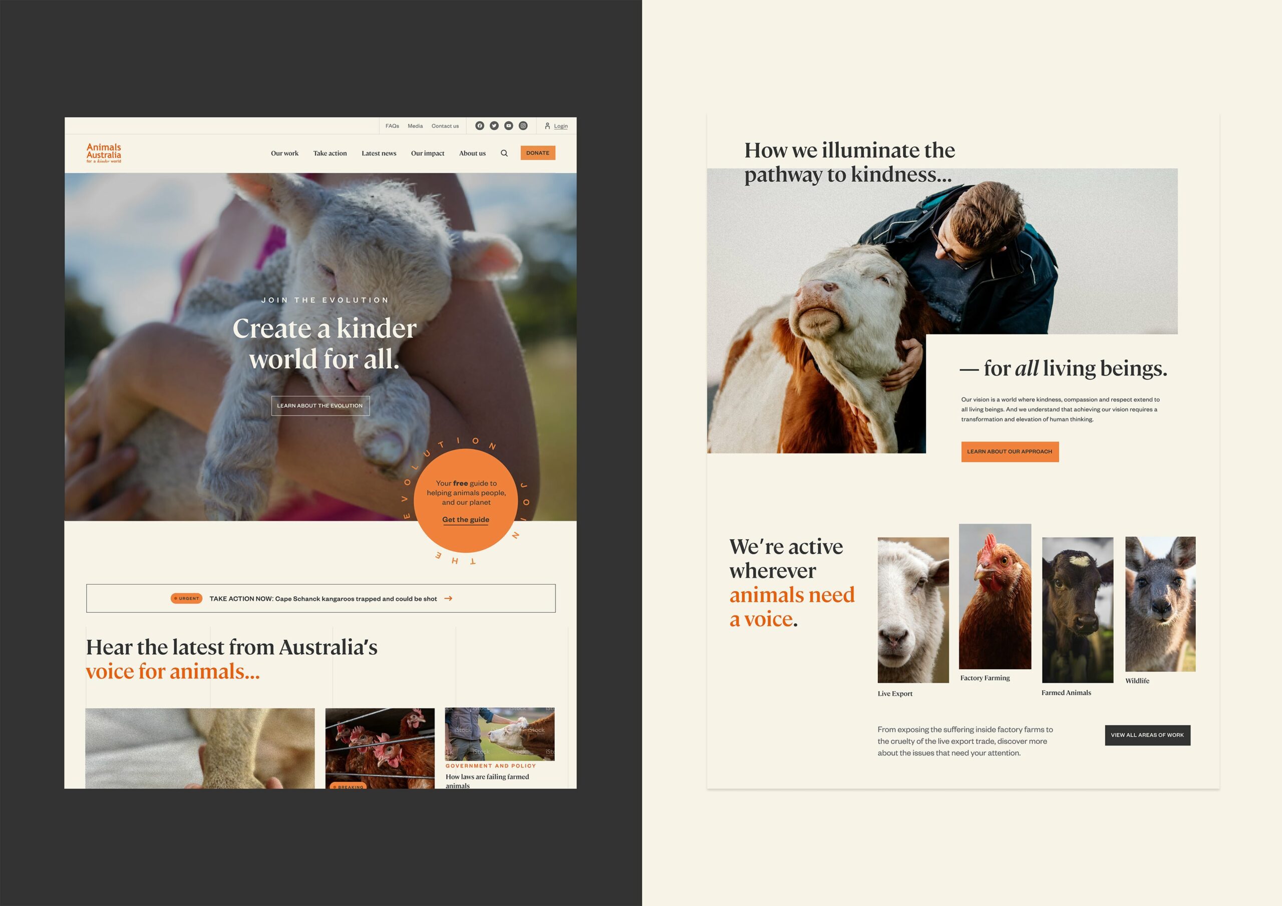 Animals Australia Website - Good Design