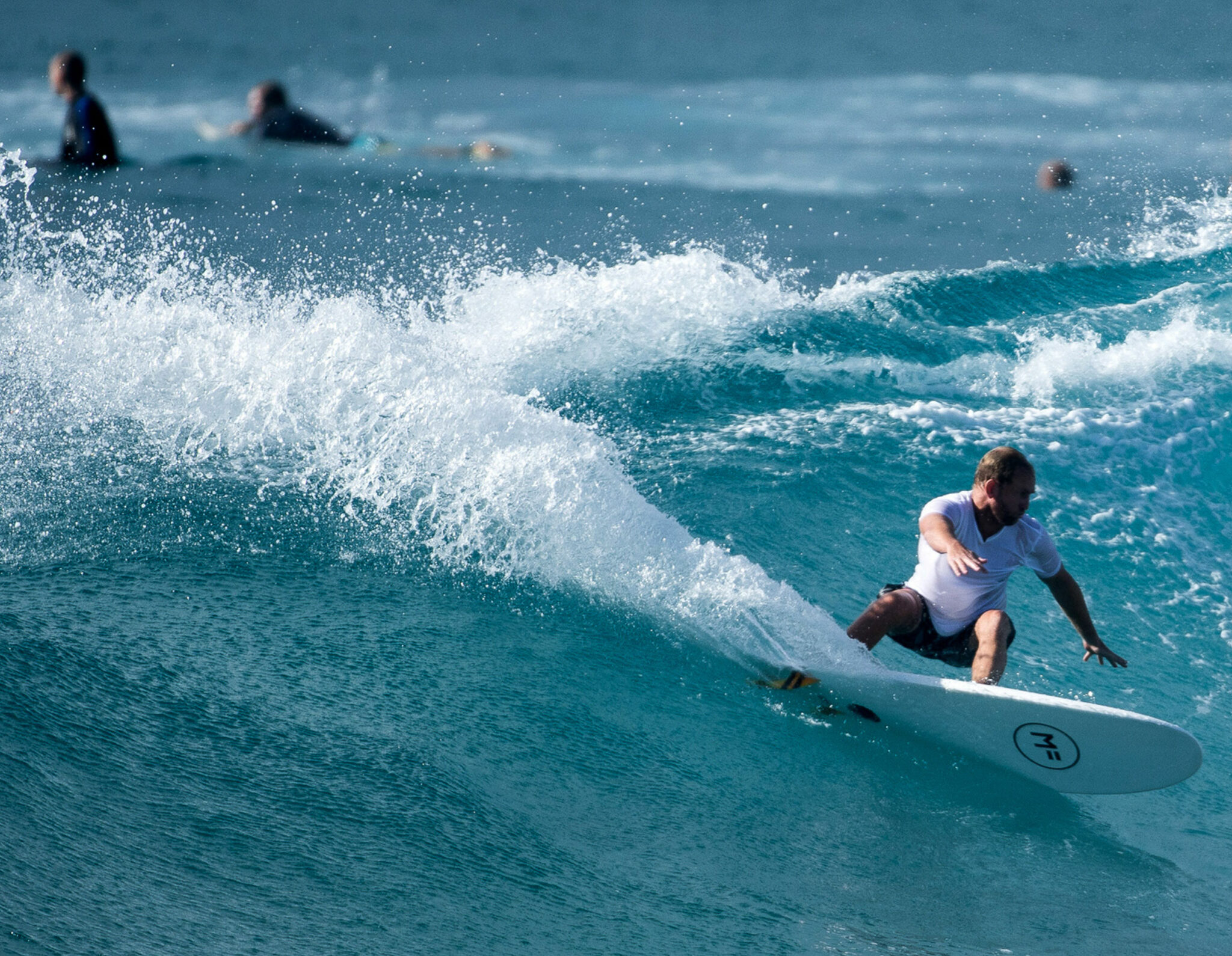 Standing Room Only - Shred Sledz