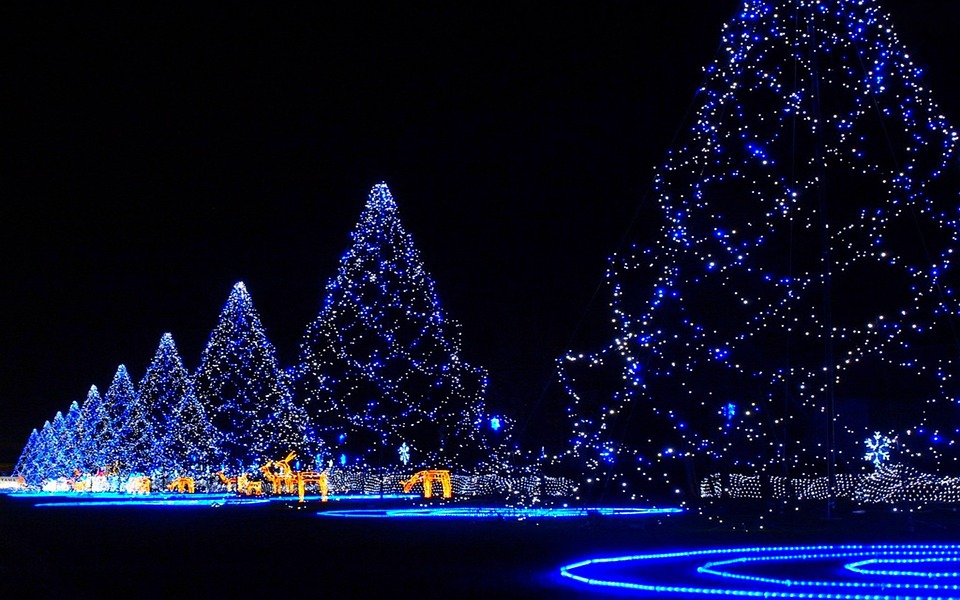 How Do I Choose A Holiday Light Installation in St. Joseph MO