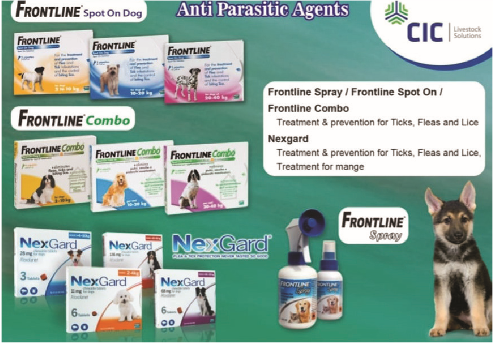 VetCare Solution