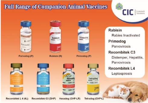 VetCare Solution