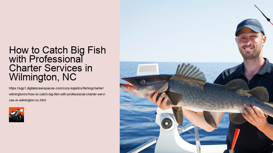 How to Catch Big Fish with Professional Charter Services in Wilmington, NC 