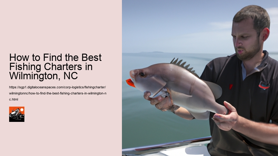 How to Find the Best Fishing Charters in Wilmington, NC 