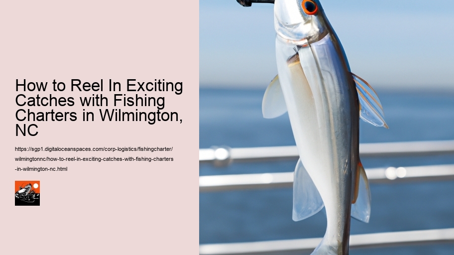 How to Reel In Exciting Catches with Fishing Charters in Wilmington, NC 