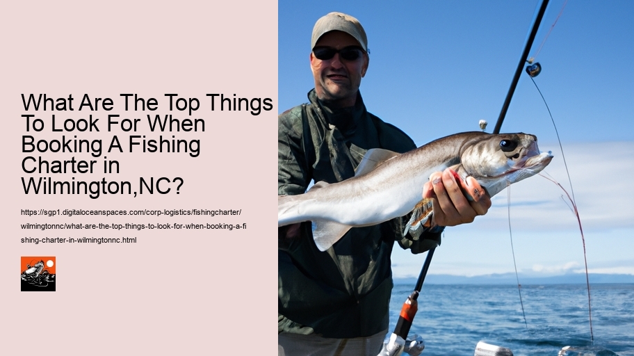 What Are The Top Things To Look For When Booking A Fishing Charter in Wilmington,NC? 