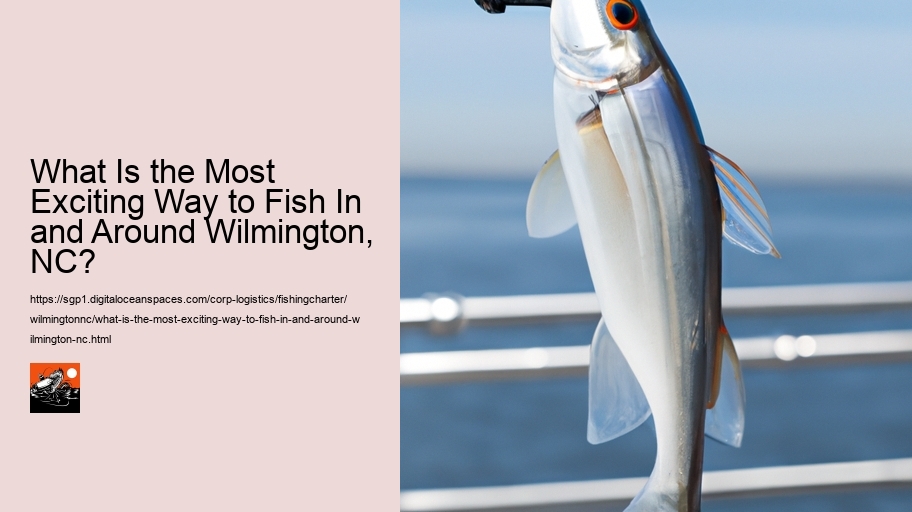 What Is the Most Exciting Way to Fish In and Around Wilmington, NC? 