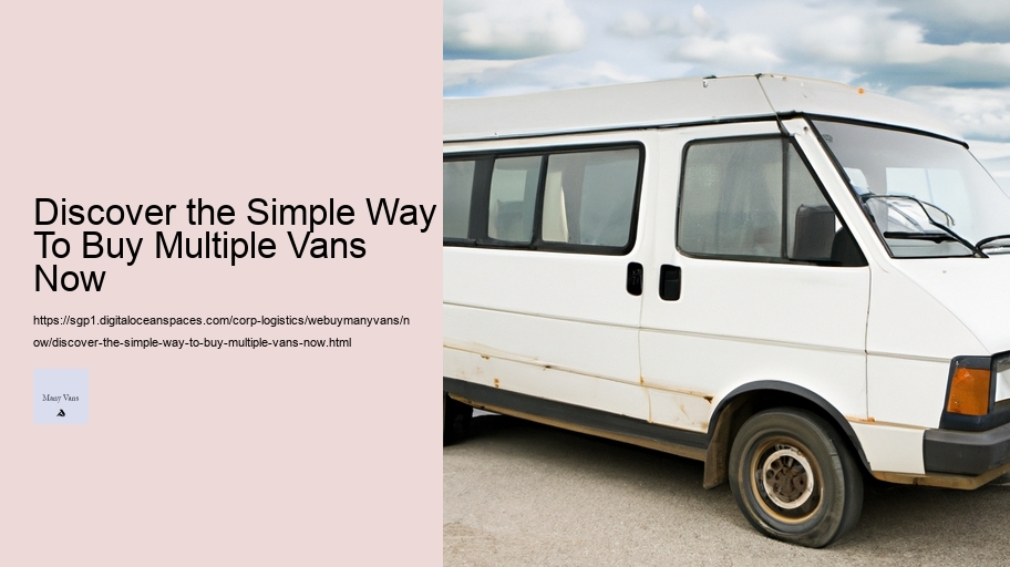 Discover the Simple Way To Buy Multiple Vans Now 