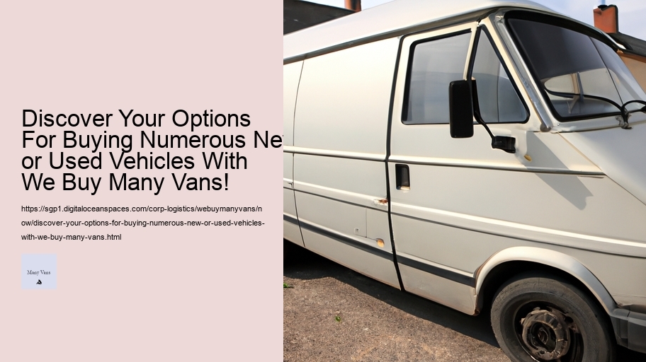 Discover Your Options For Buying Numerous New or Used Vehicles With We Buy Many Vans!  